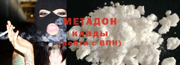 прущие грибы Армянск