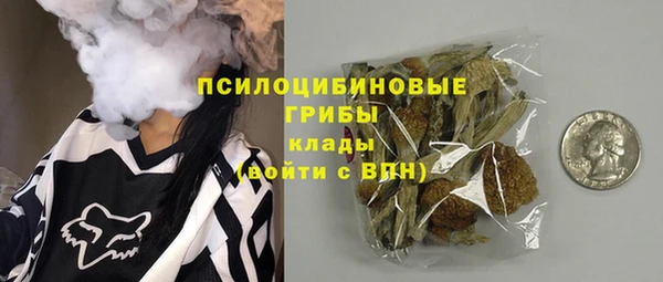 винт Арсеньев