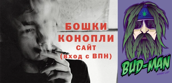 прущие грибы Армянск