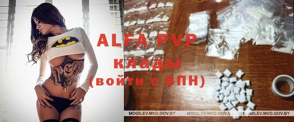 прущие грибы Армянск